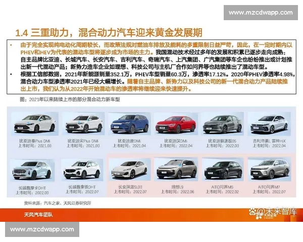 后期强势发展助力企业崛起全方位战略布局与实践探索